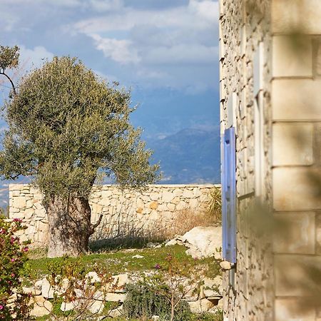 Orelia Cretan Deluxe Apartments กามิลารี ภายนอก รูปภาพ