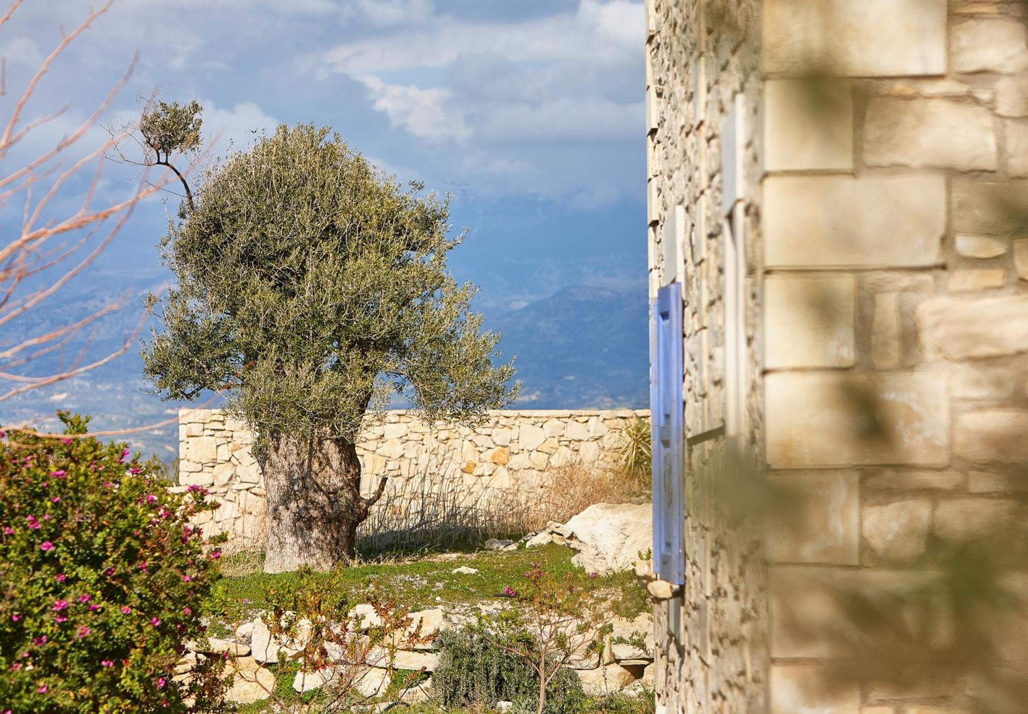 Orelia Cretan Deluxe Apartments กามิลารี ภายนอก รูปภาพ
